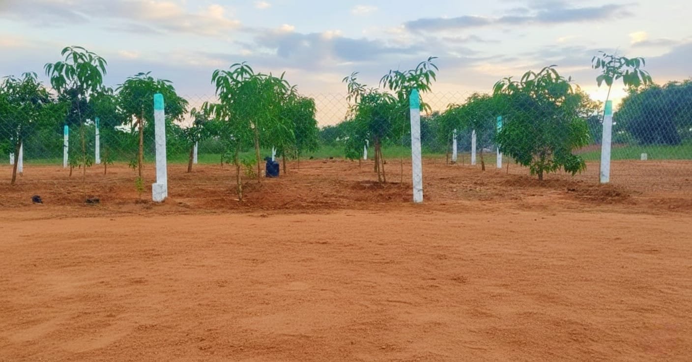 Kolanupaka Farm Land